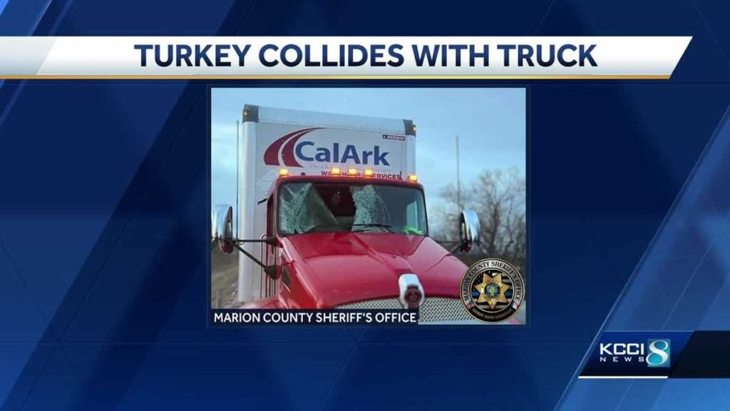 Turkey becomes leftovers after smashing into semi truck - KCCI Des Moines